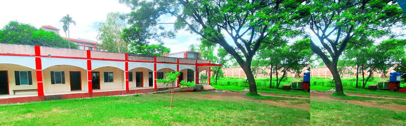 Slide Image